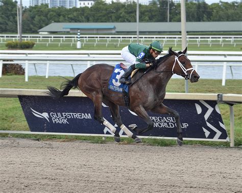 Belmont Stakes Horses: Tracker, Cheat Sheet, Post .